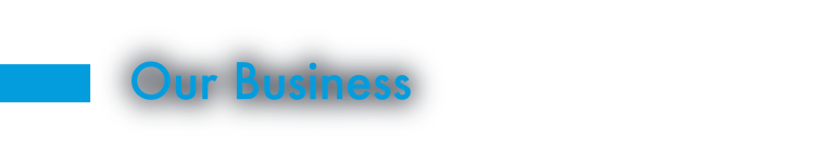Our Business